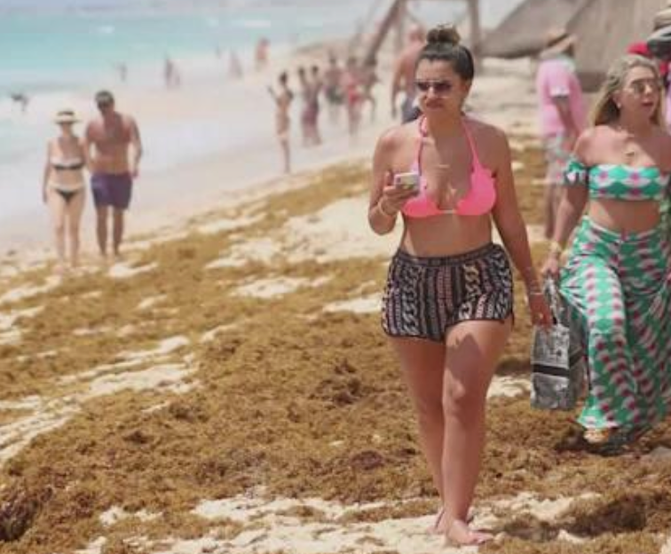 Mexico Caribbean Beaches may see worst sargassum since 2018