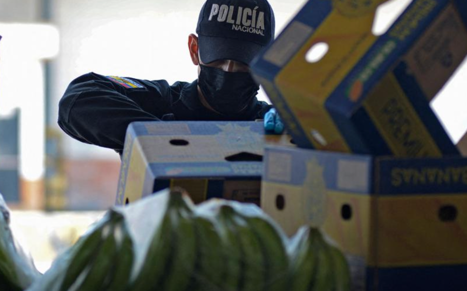 Ecuadorian police seize 3 tons of cocaine in banana boxes
