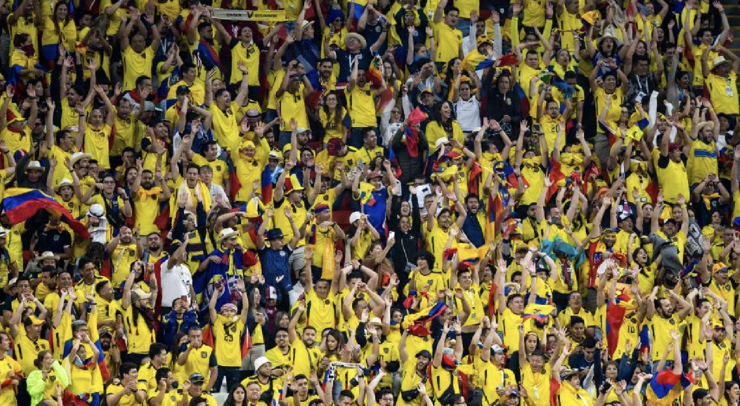 FIFA Charges Ecuador over Fan Chants in World Cup Opener