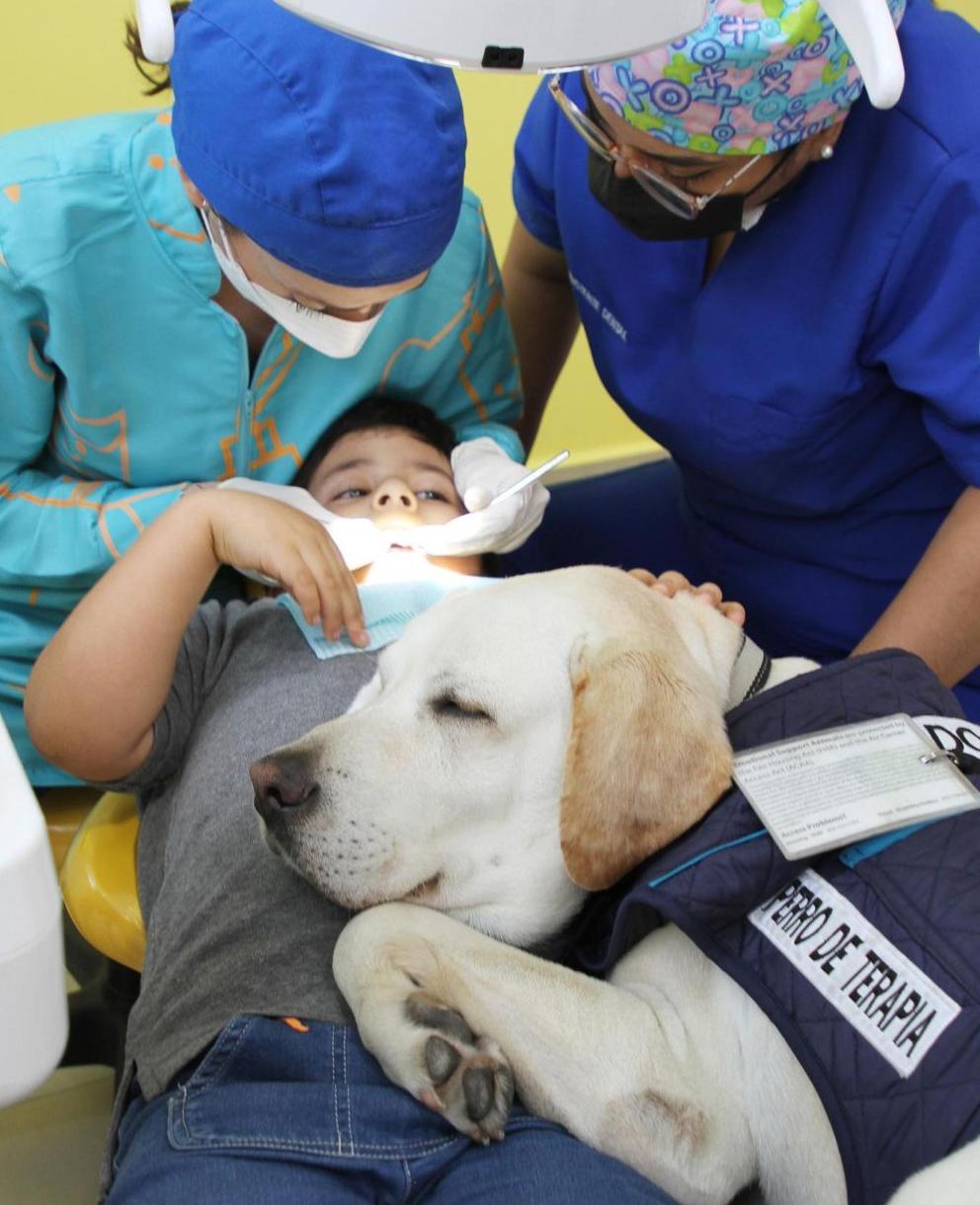 Meet Aldo, Ecuador’s First Dental Assistant Dog