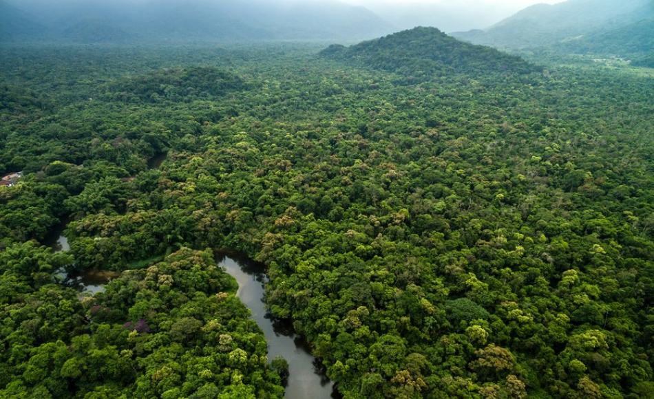 Colombia Searching Amazon for Plane Crash Passengers