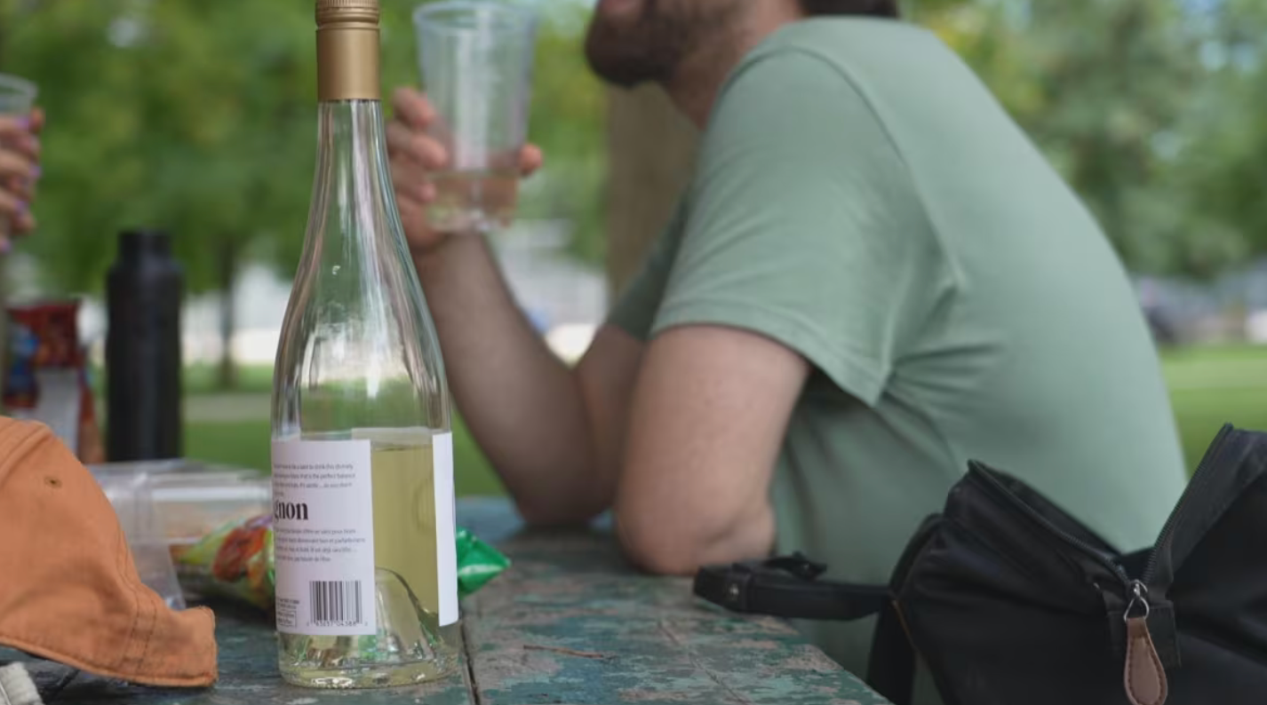 Drinking alcohol is now legal in 27 Toronto parks