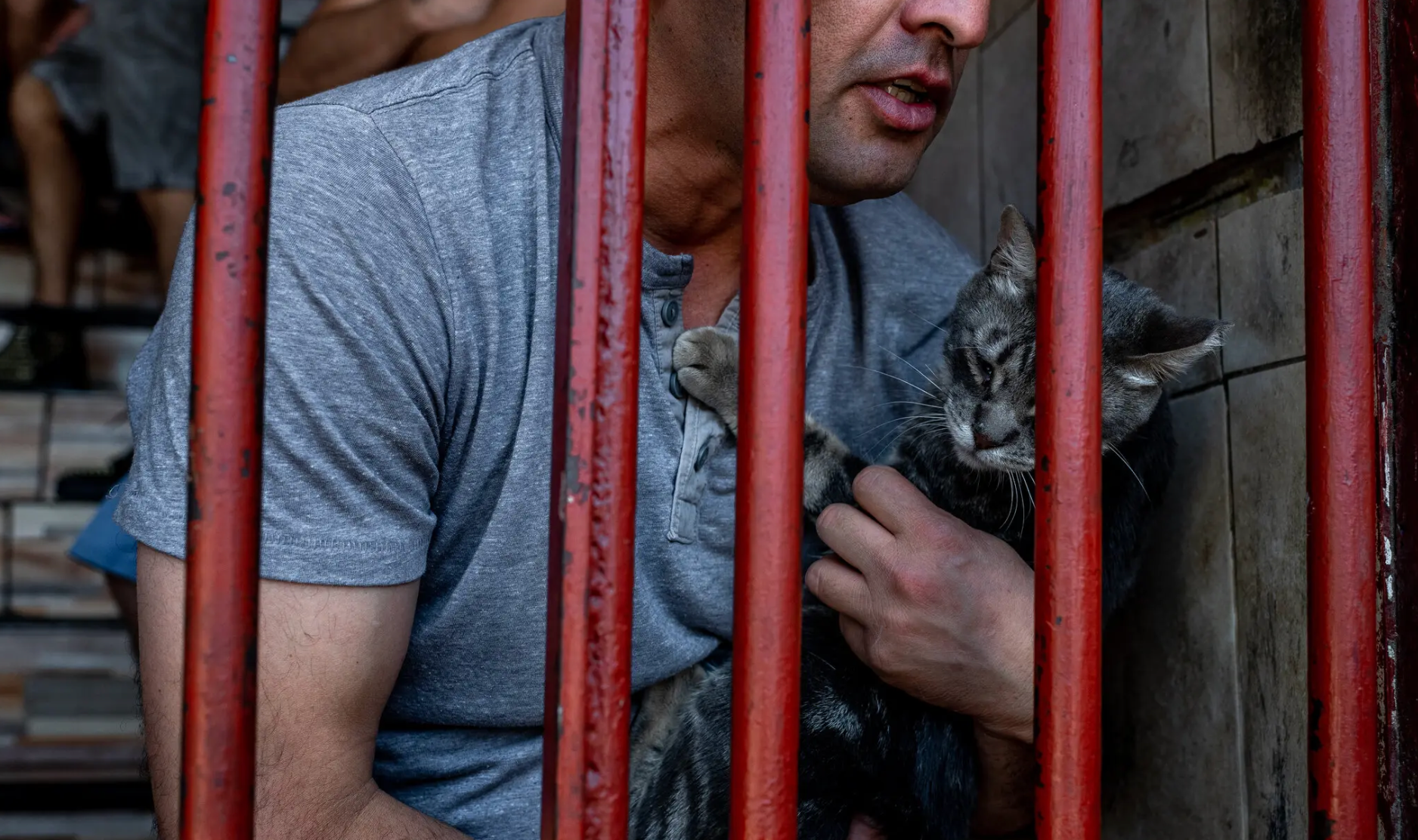 Cats filled Chile’s largest prison. Then the Inmates fell in Love
