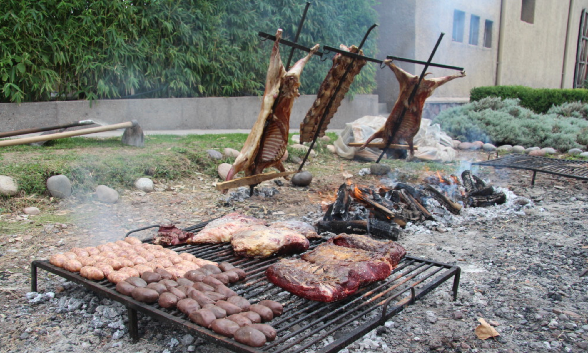Vegetarians on the rise in Argentina despite their meat-eating tradition