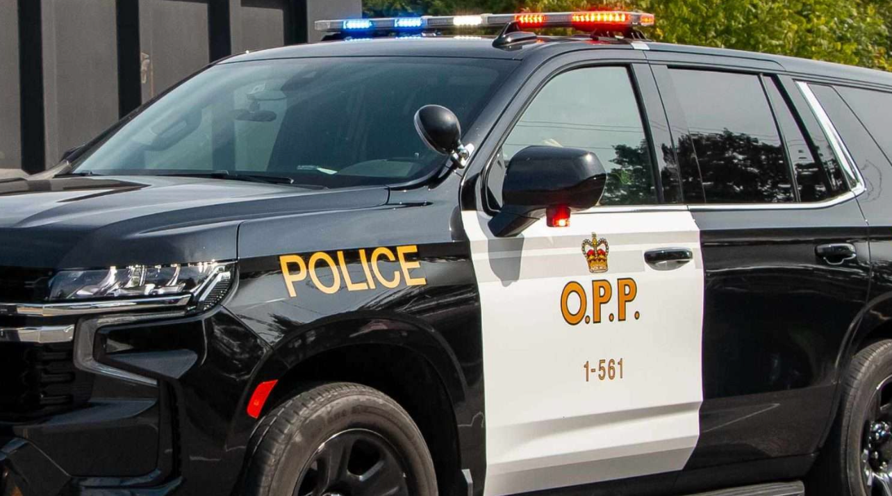 OPP to start mandatory alcohol screenings during traffic stops in GTA