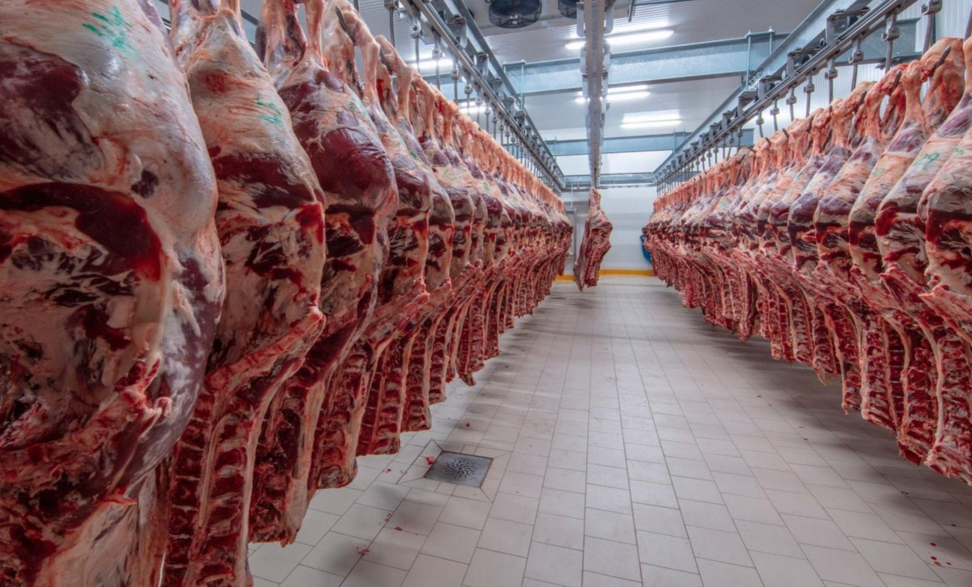 Canada to allow Paraguayan beef into country