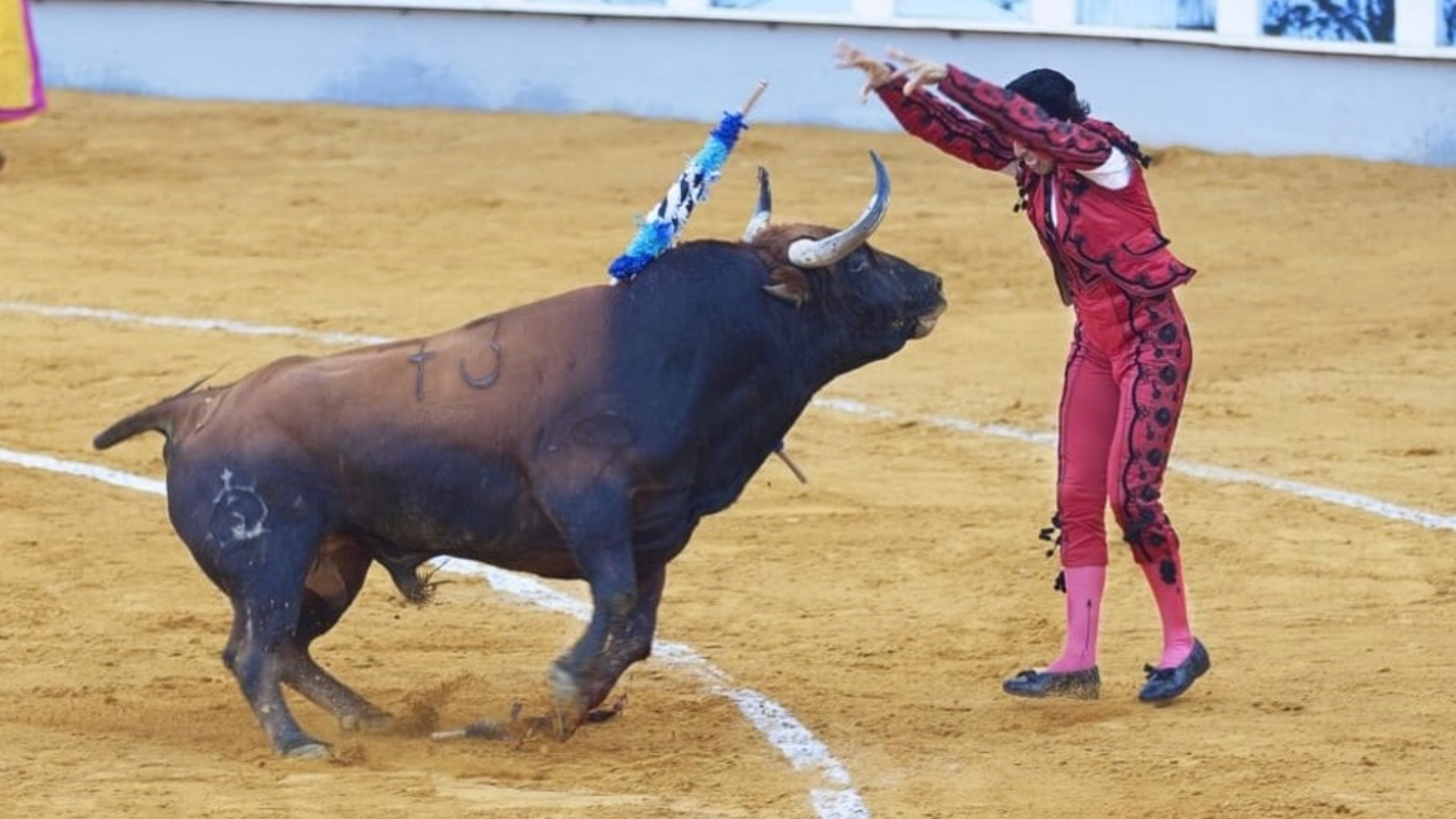 Colombia congress passes bill banning bullfighting