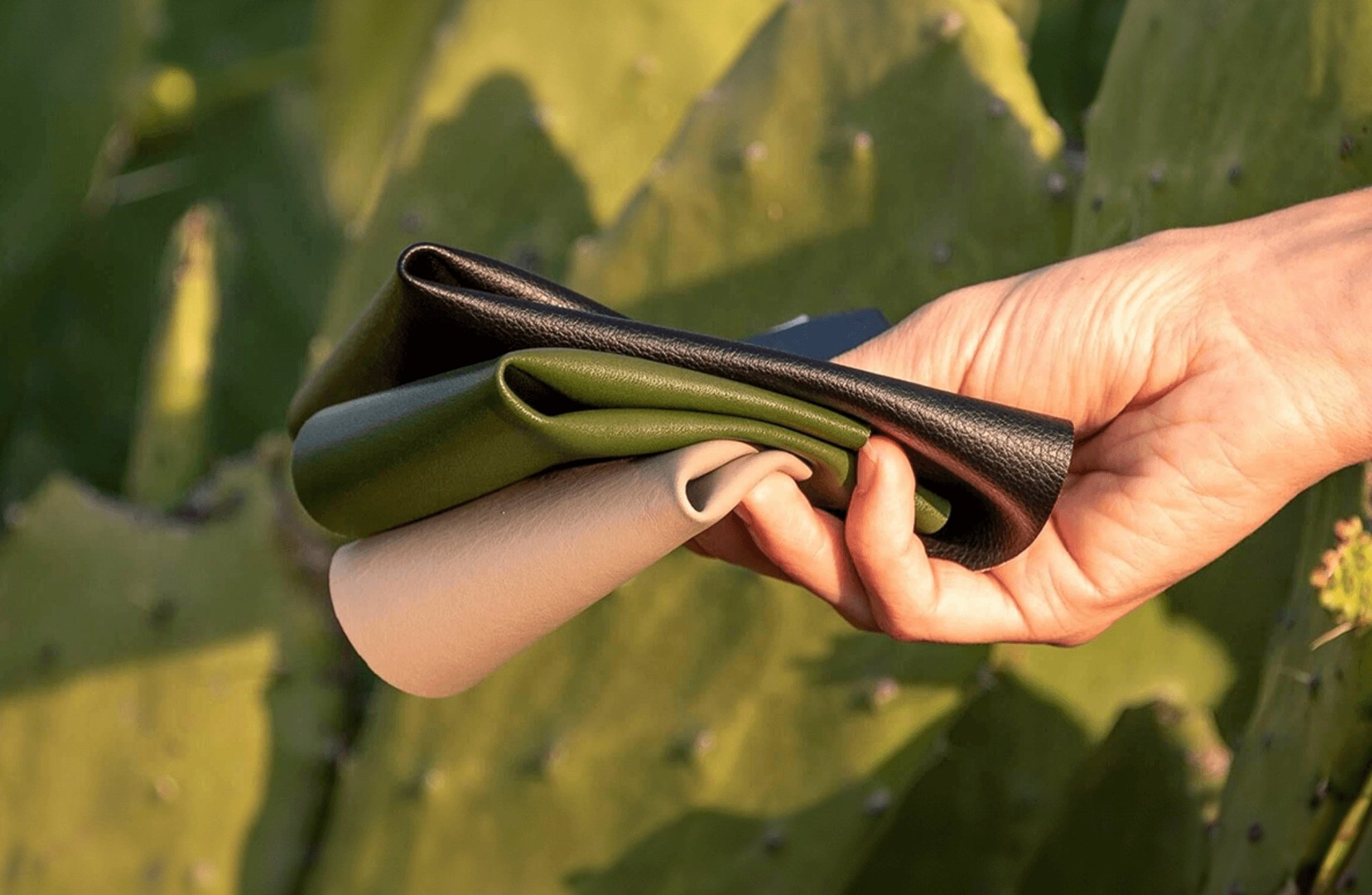 Mexican entrepreneurs create leather out of cactus