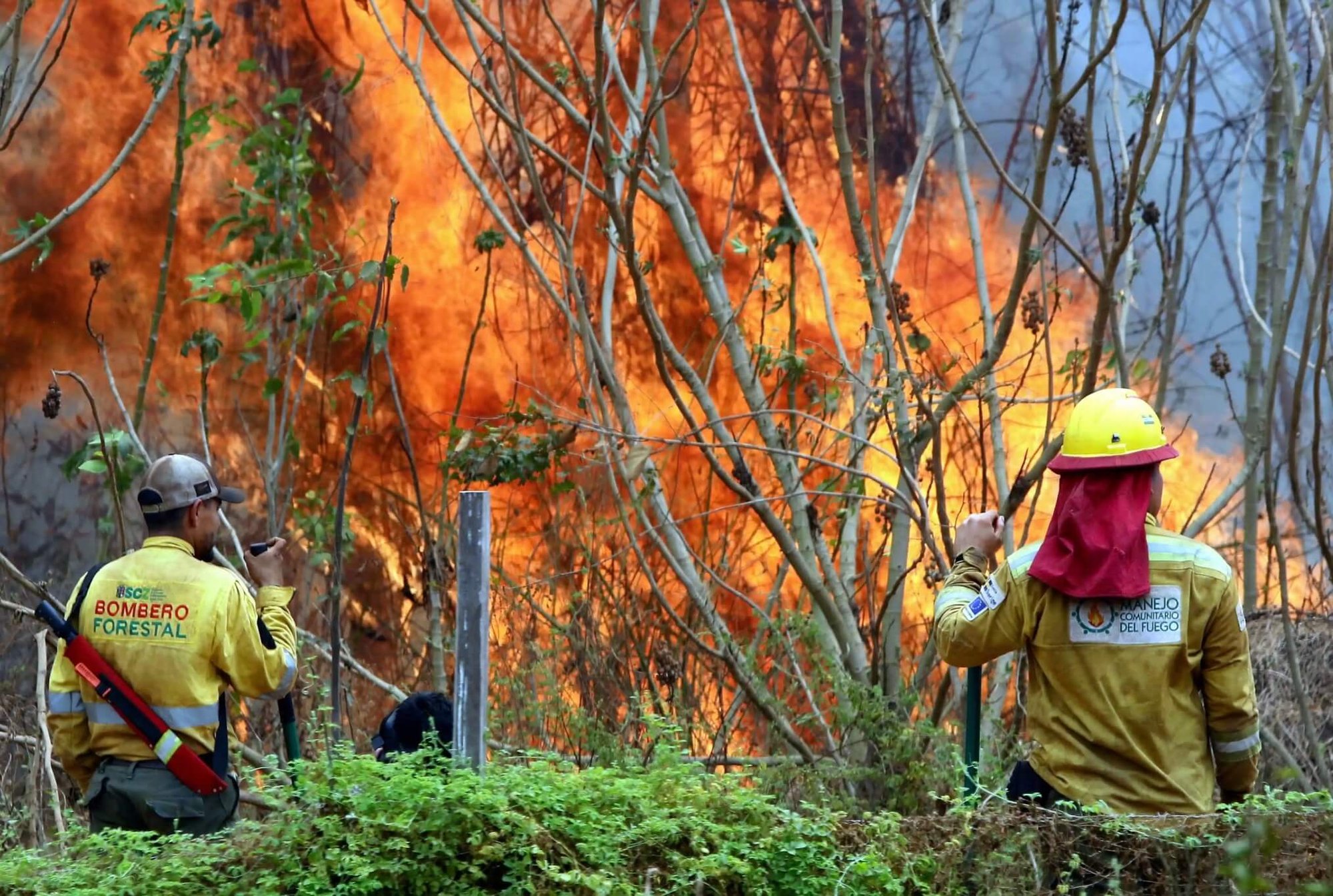 Fires ravage South America in 2024