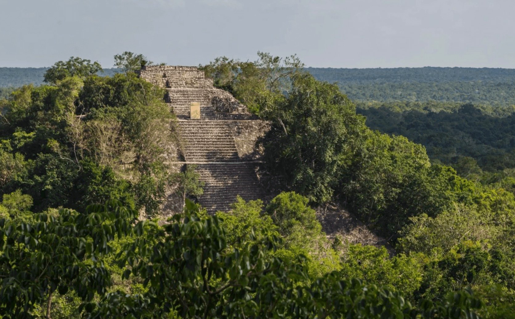 Lost Mayan city found in Mexico jungle by accident